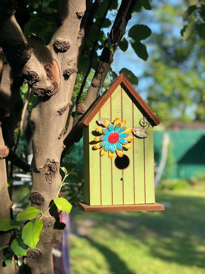 La Deka Guesthouse Лагодехи Екстериор снимка